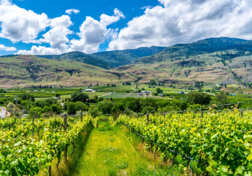 A Comprehensive Guide to Land Acquisition in New Zealand