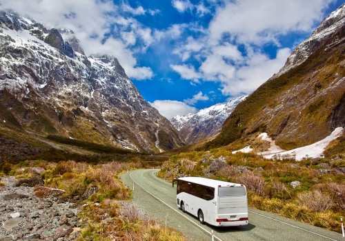 Understanding Public Transit Systems in New Zealand