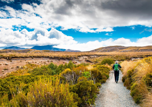 Parks and Recreation Areas in New Zealand: A Guide to Building and Managing Public Facilities and Amenities